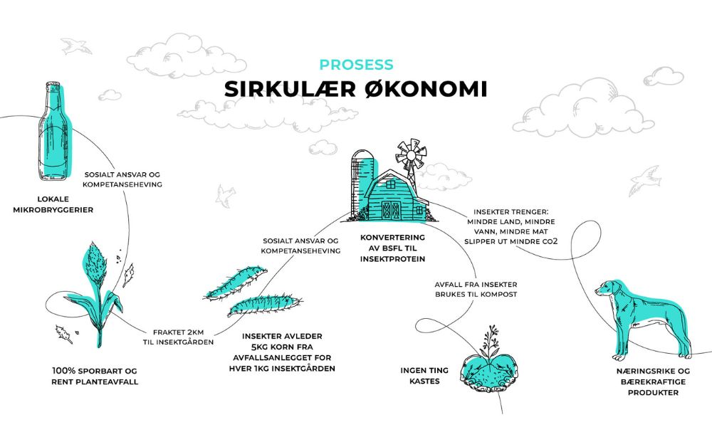 Insekter sirkulær økonomi