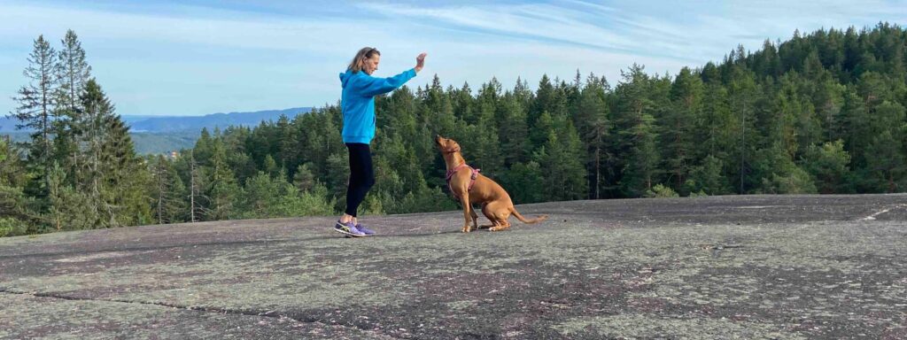 Kognitiv helse, trening og adferd