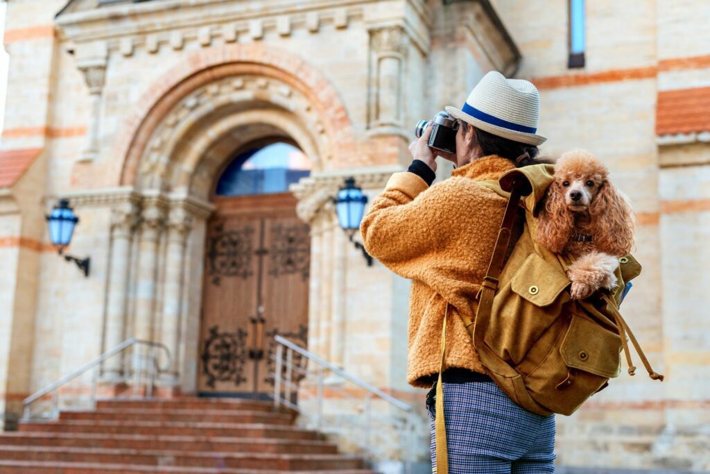 Reise med hund i sommer