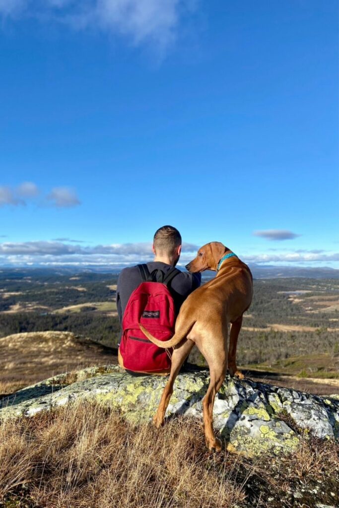 Høstaktiviteter med hund