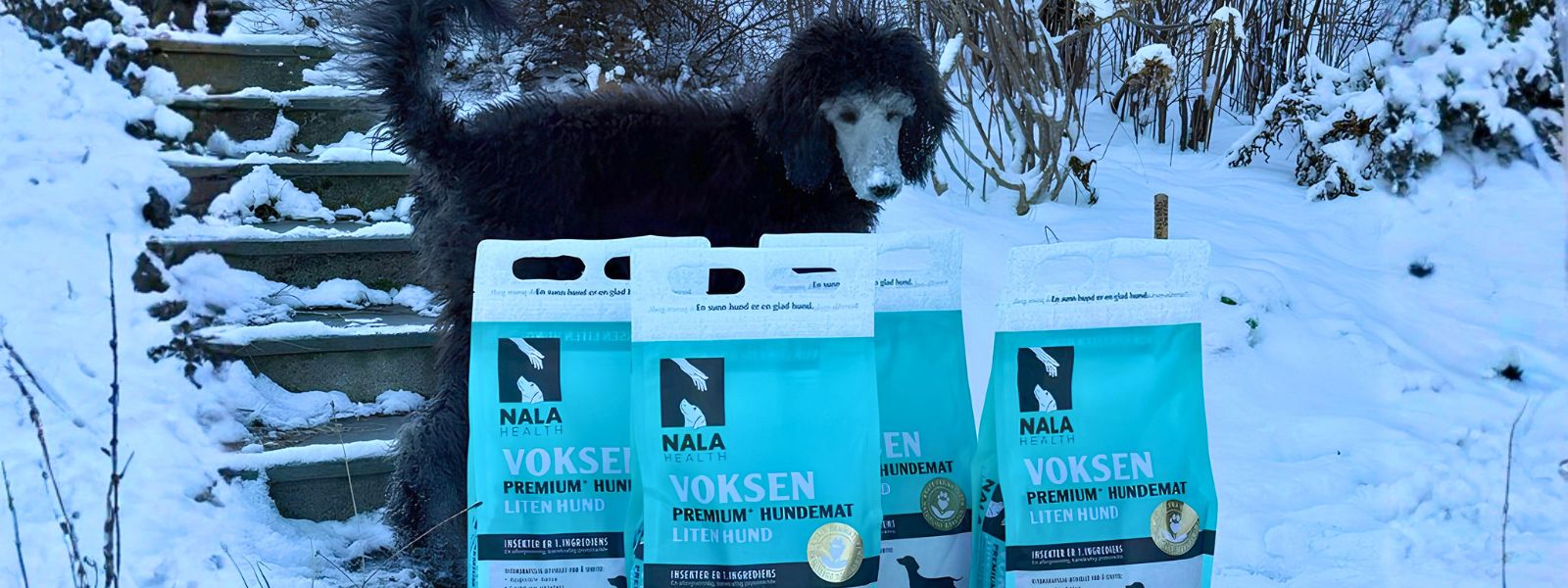 Hundemat uten kylling: Et sunt alternativ
