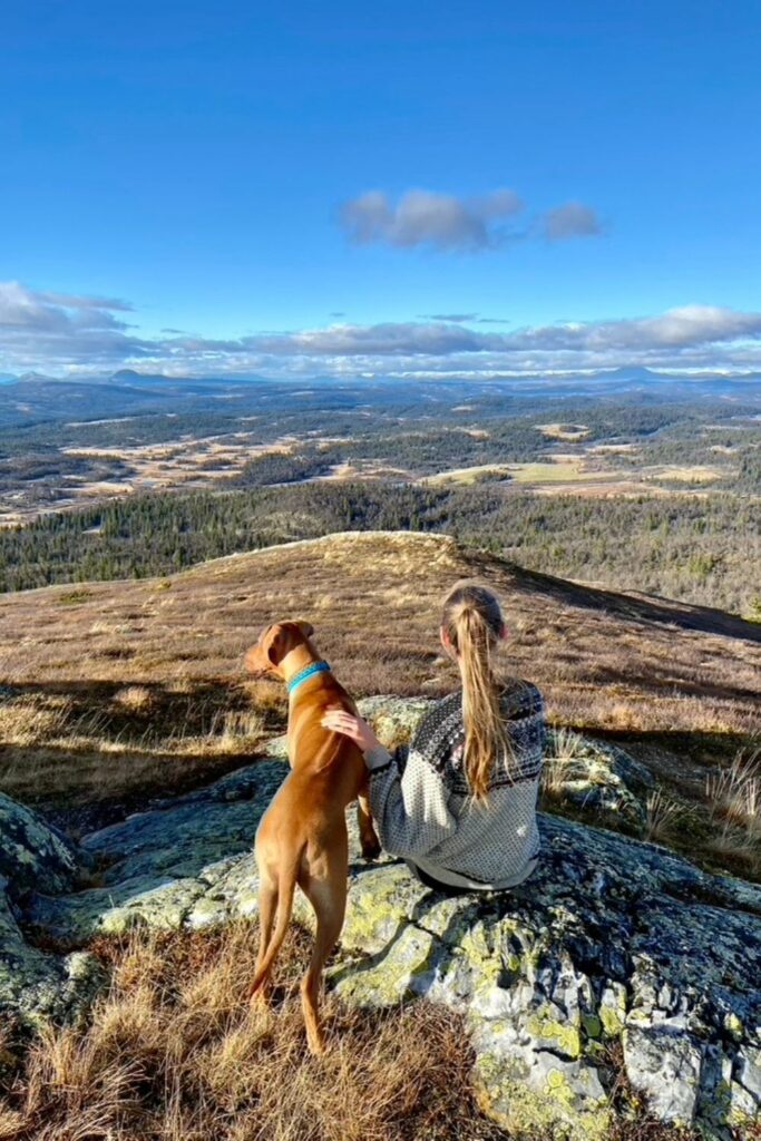 Hvorfor velge Nala Health