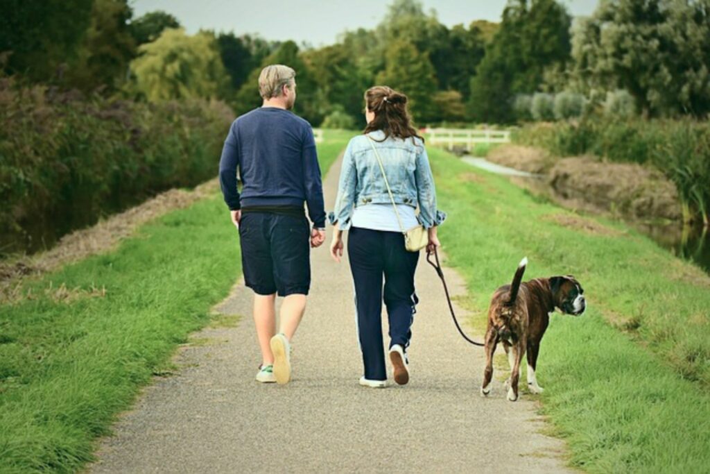 Tegn på en glad hund