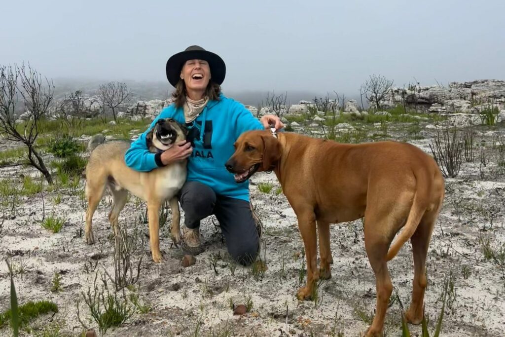 Konserveringsmidler i hundefôr