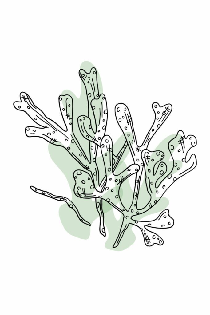 hva inneholder Nala Health