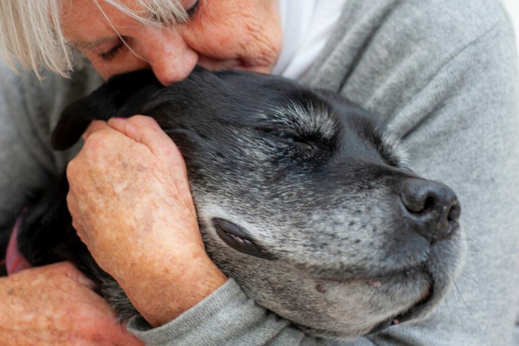 Caring for senior dog