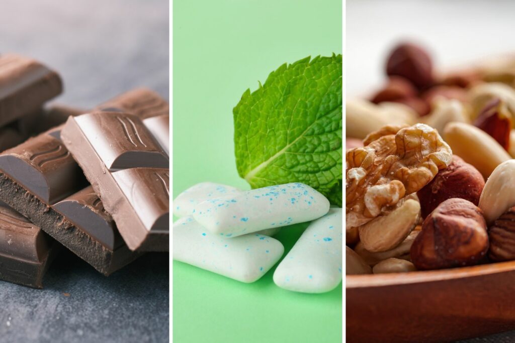 Toxic food for dogs