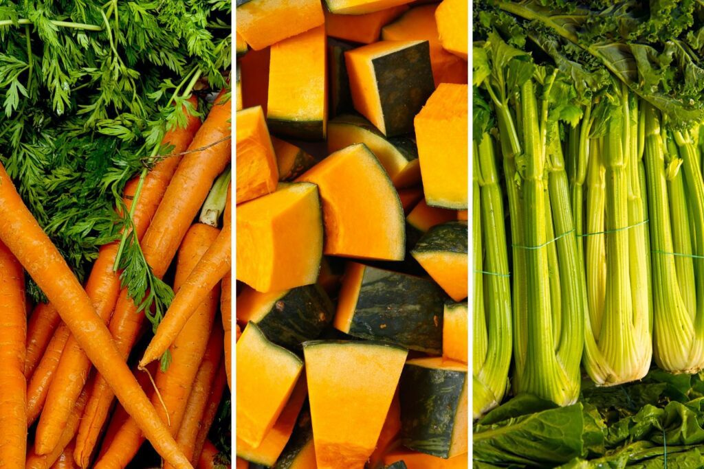 bone broth recipe for dogs
