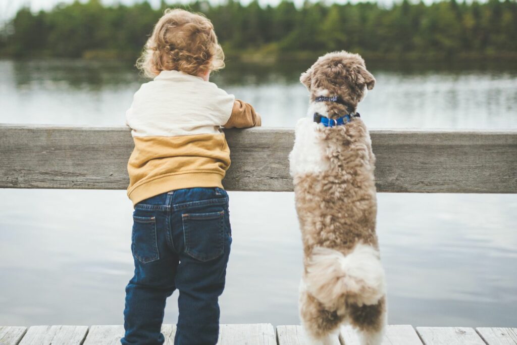 Socialising your puppy