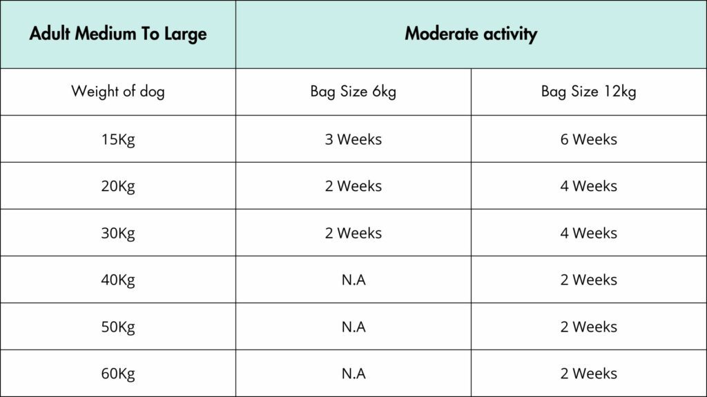 Dog food subscription medium to large