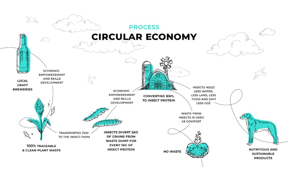 Insect protein circular economy