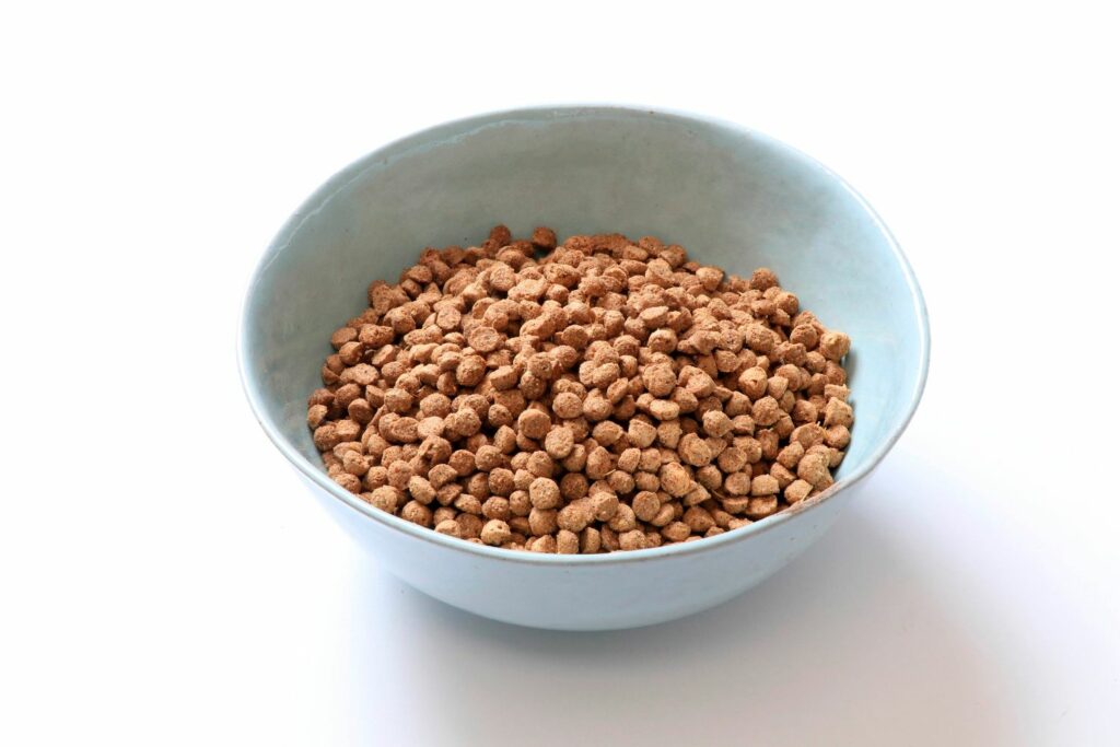 Chitin in dog food