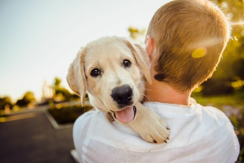 How to Tell if Your Dog is Happy