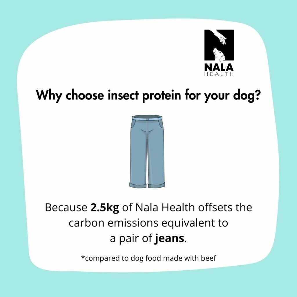 environmental impact of dog food