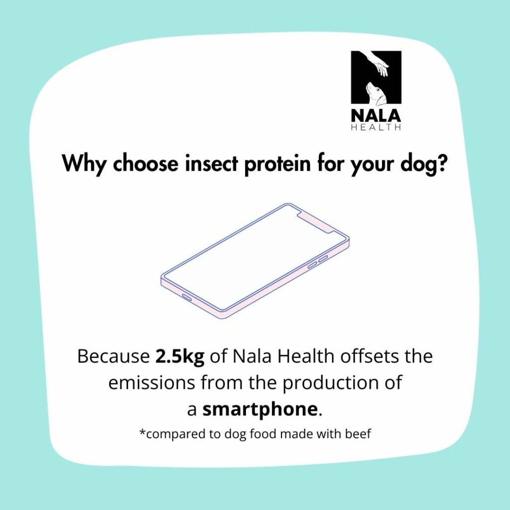 environmental impact of dog food