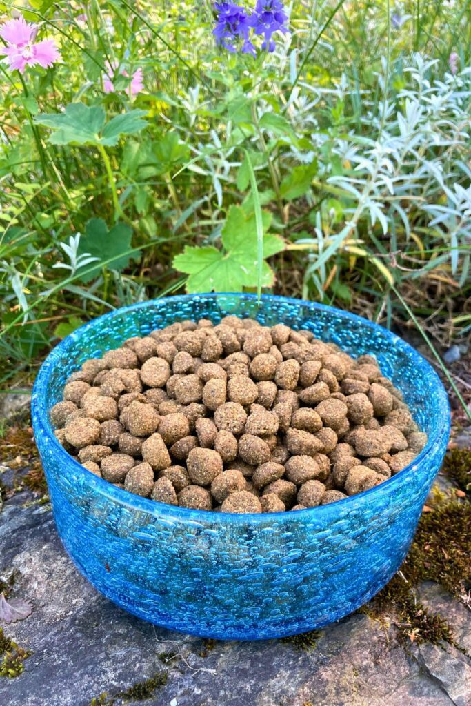 chicken free dog food