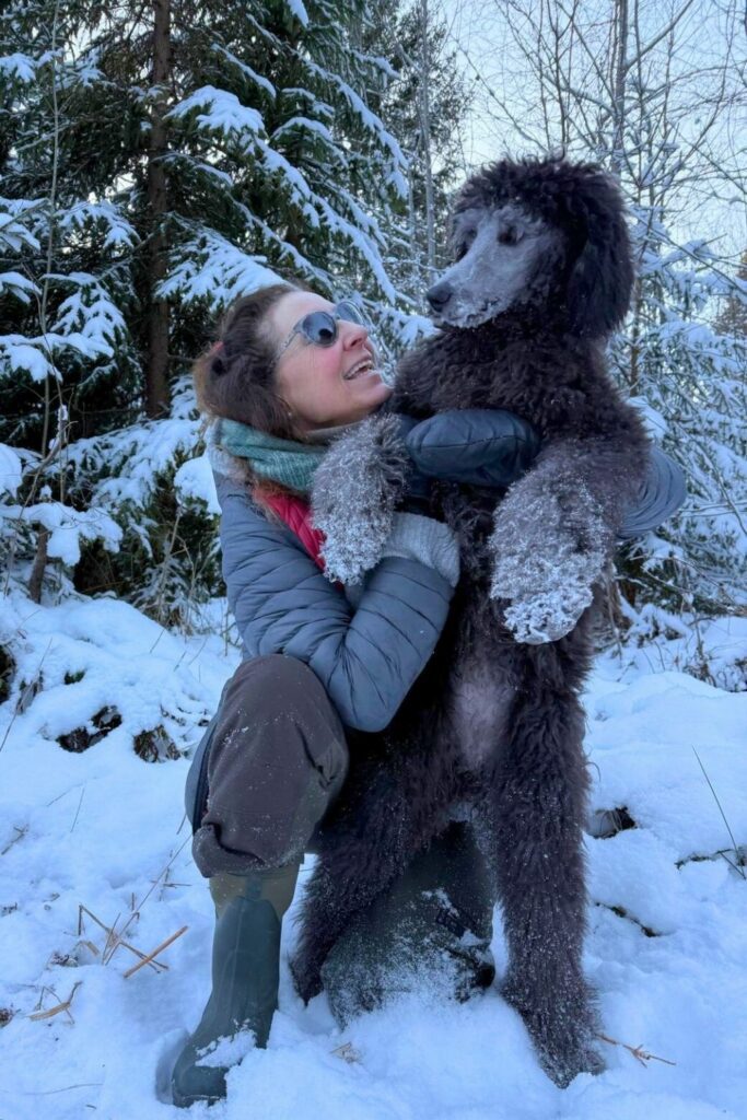 preservatives in dog food