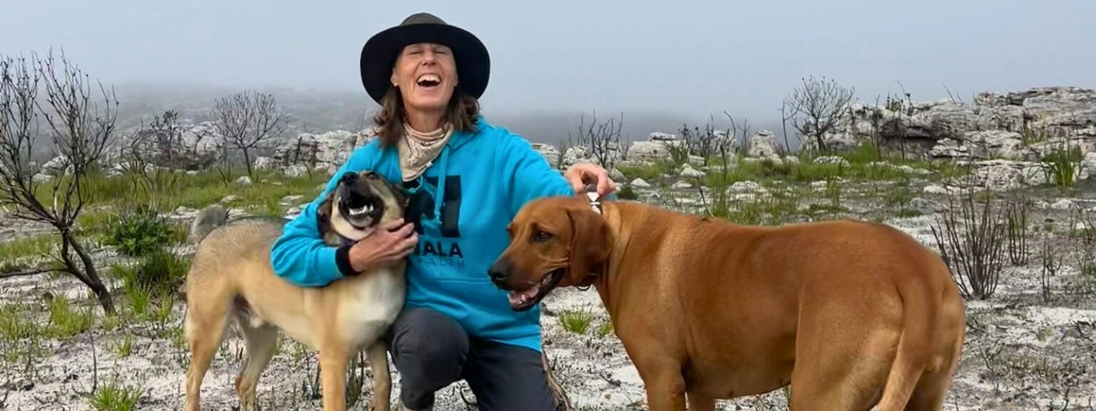 Preservatives in Dog Food, Explained