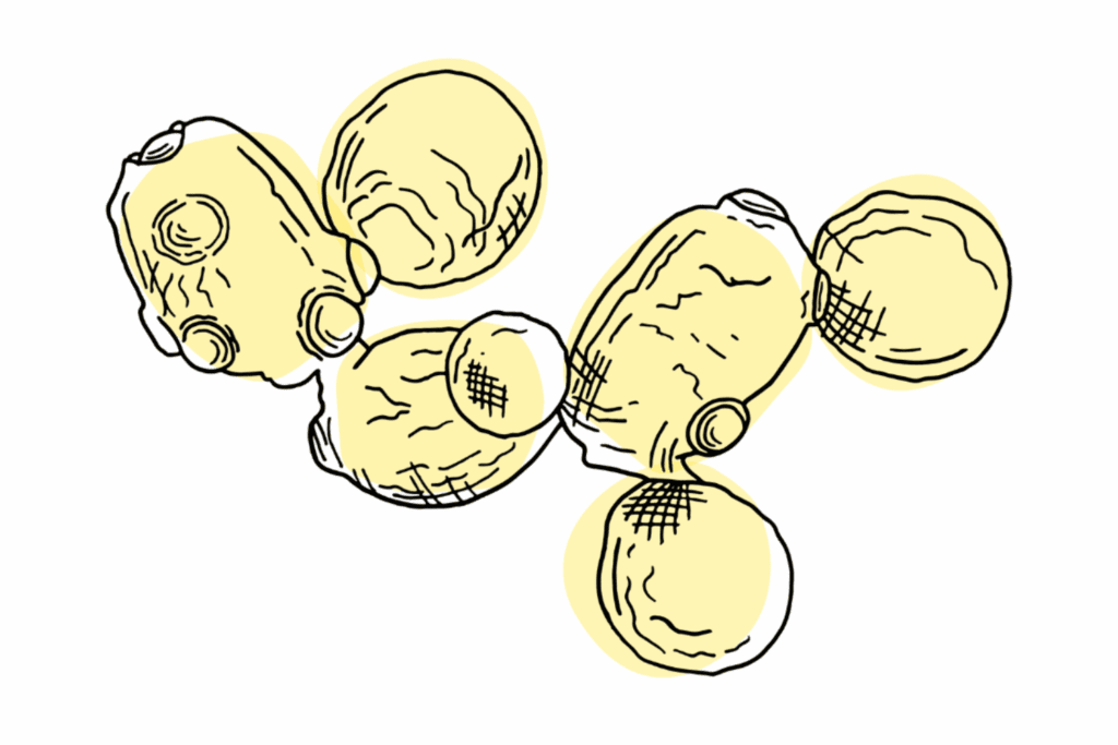 What is in nala health dog food