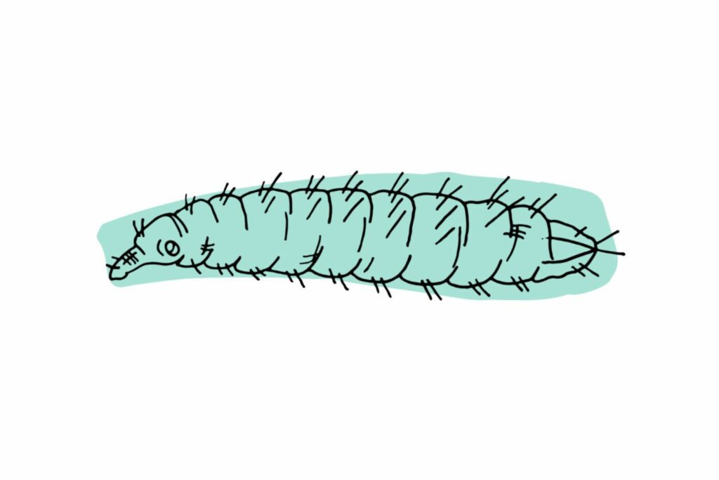 What is in nala health dog food