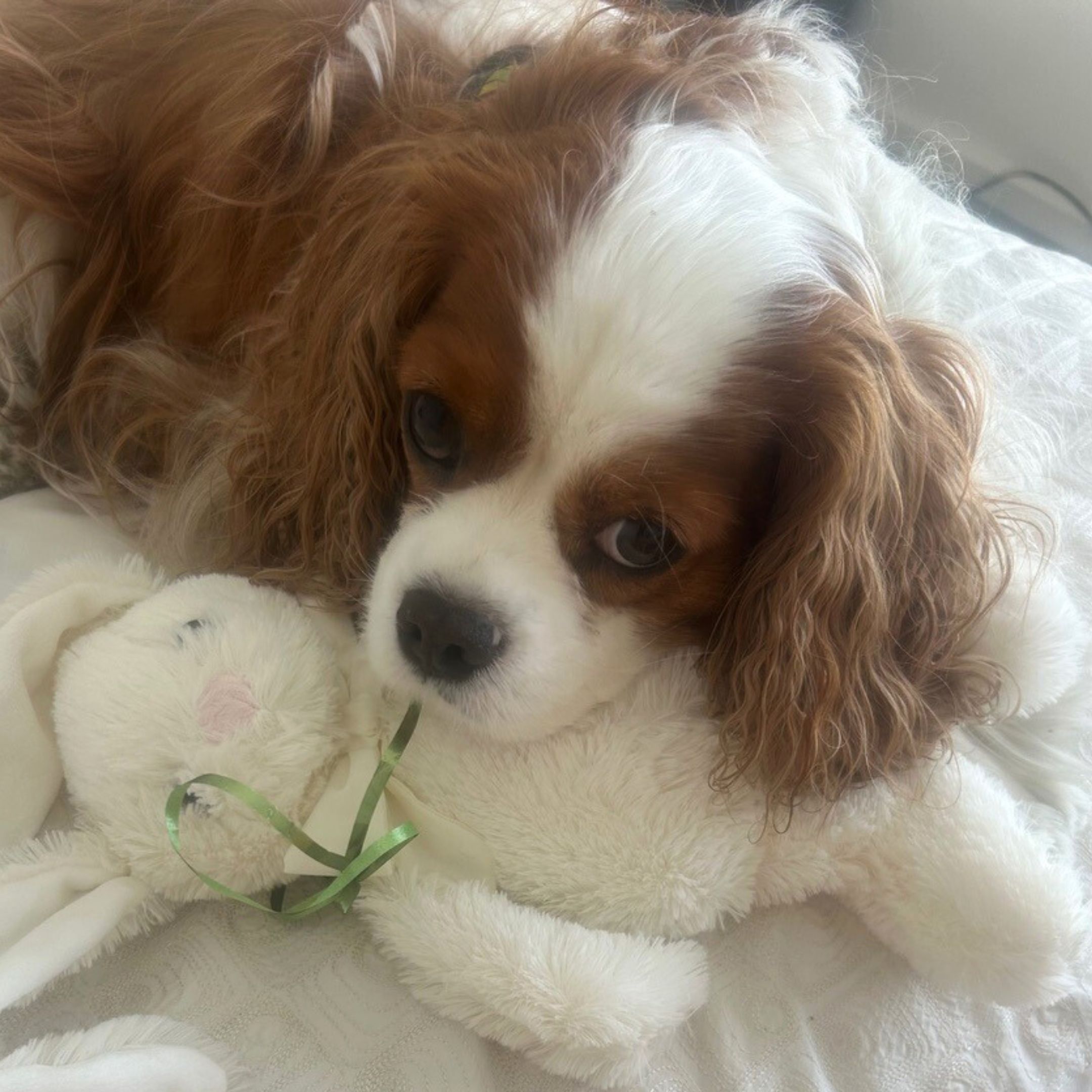 Nala Health testimonial